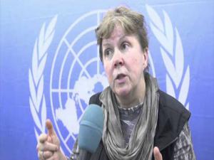 AMERİKALI LUTEUN BM ÖZEL TEMSİLCİSİ OLARAK ATANMASI