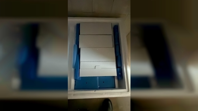 Güney Kıbrıs’a 50 bin doz şap aşısı daha… Toplamda 60 bin doz teslim edildi