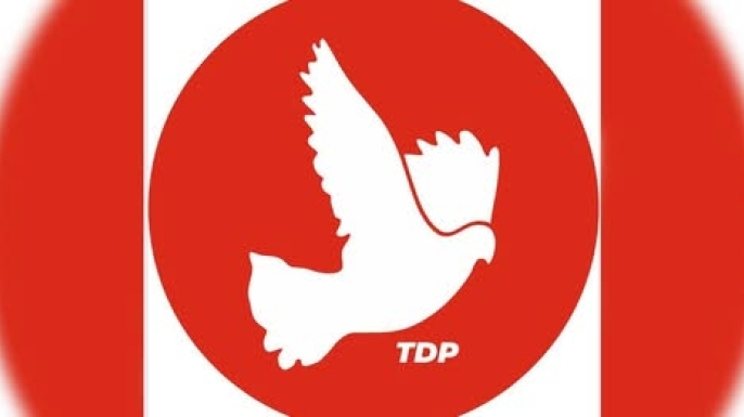 TDP Sağlık Komitesi: Sistemdeki aksaklıklar giderilmeden sağlıkta yol alınamaz