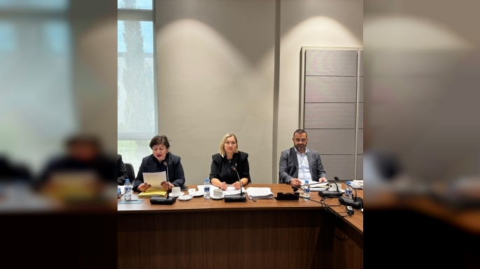 Hukuk, Siyasi İşler, Dışilişkiler ve Savunma Komitesi toplandı