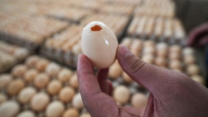 İngiltere'de salmonella salgınında 1 kişi öldü, 207 vaka tespit edildi