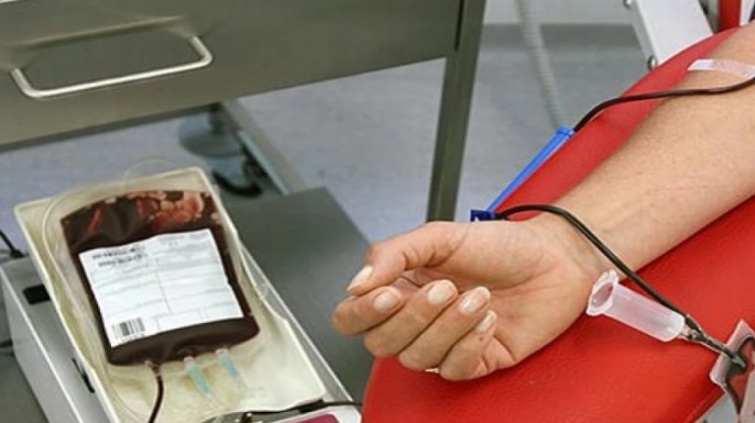 Kuzey Kıbrıs Thalassaemia Derneği yaz kampı düzenliyor