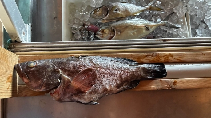 Kaplıca bölgesindeki su ürünleri restoranları denetlendi