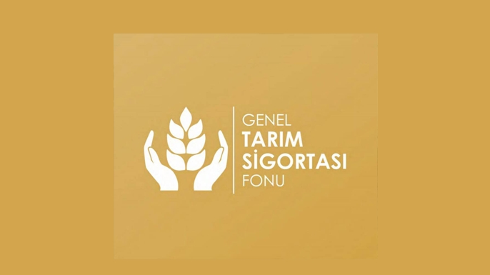 Büyükbaş hayvanlar için düşük tazminatı ödendi