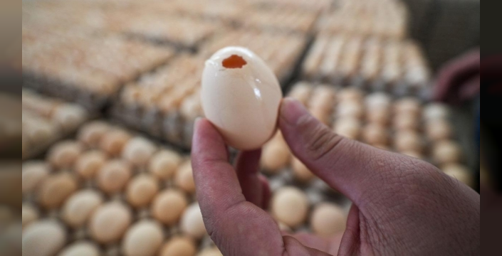 İngiltere'de salmonella salgınında 1 kişi öldü, 207 vaka tespit edildi