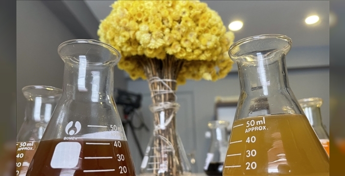 Bitkisel ürünlerin bilinçsiz kullanımı ciddi sağlık sorunlarına yol açabiliyor