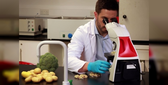 Gıda denetimleri… Yerli ürünlerin 6'sında tavsiye dışı ve limit üstü bitki koruma ürünü