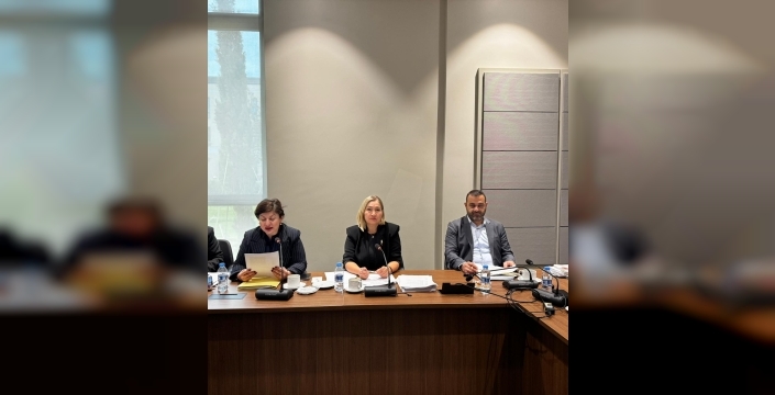 Hukuk, Siyasi İşler, Dışilişkiler ve Savunma Komitesi toplandı