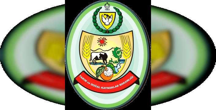 İçme Suyu Projesi bağlantı hatlarında ilerleme… Dört depoya su akışı sağlandı