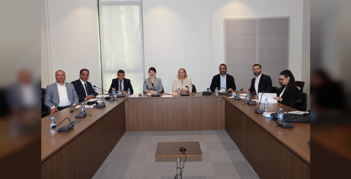 Konut Edindirme (Değişiklik) Yasası yeniden komitede