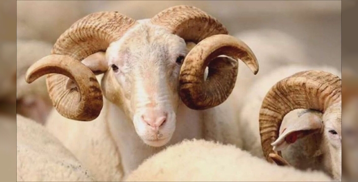 Kurban Bayramı'nın 2. günü