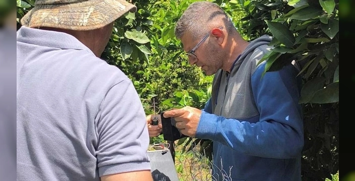 Narenciye üretiminde su tasarrufu ve verim artışı için proje başlatıldı