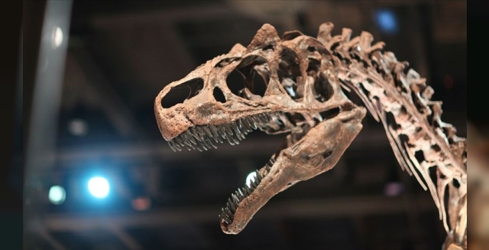 Tayland'da yeni bir dinozor türüne ait kalıntılar bulundu